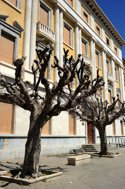 TRAPANI il centro storico il porto il mare la colombaia. Fotografie di Giulio Azzarello ©2014. TRAPANI il centro storico il porto il mare la colombaia. Fotografie di Giulio Azzarello ©2014.