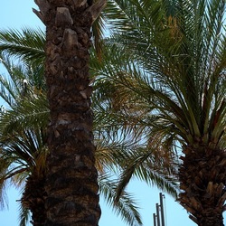 SAN VITO LO CAPO. Fotografie di Giulio Azzarello &copy;2023.