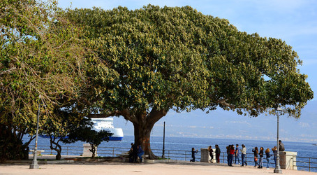 MESSINA città. Fotografie di Giulio Azzarello ©2016.