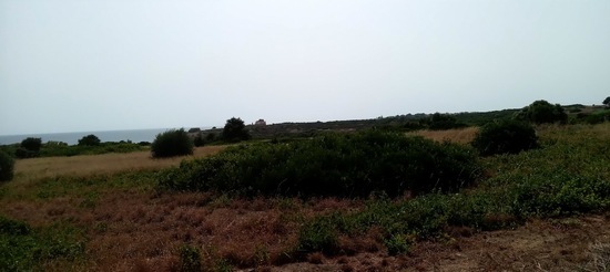 PARCO ARCHEOLOGICO DI SELINUNTE. Fotografie di Giulio Azzarello ©2023.