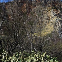 RISERVA NATURALE. Fotografie di Giulio Azzarello &copy;2022.