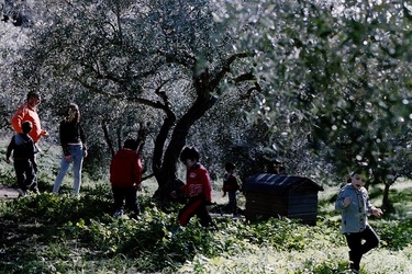 DIGITALIZZAZIONI fotografie di Giulio Azzarello &copy;2020.