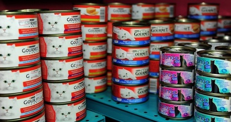 NEGOZIO di ANIMALI. Fotografie di Giulio Azzarello ©2018. NEGOZIO di ANIMALI. Fotografie di Giulio Azzarello ©2018.