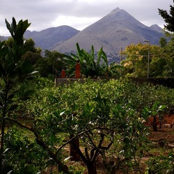 AUTUNNO fotografie di Giulio Azzarello ©2021. AUTUNNO fotografie di Giulio Azzarello ©2021.