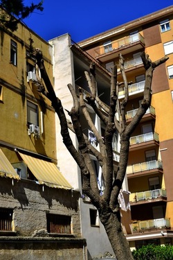 PERIFERIE fotografie di Giulio Azzarello ©2019.