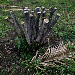 TRONCHI. Fotografie di Giulio Azzarello ©2022.