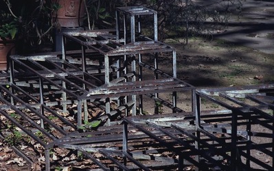 ORTO BOTANICO di Palermo. Fotografie di Giulio Azzarello ©2021.