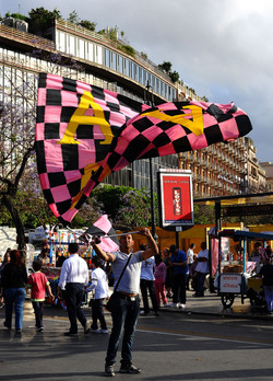 I TIFOSI DEL PALERMO CALCIO in piazza per festeggiare. Fotografie di Giulio Azzarello ©2014. I TIFOSI DEL PALERMO CALCIO in piazza per festeggiare. Fotografie di Giulio Azzarello ©2014.