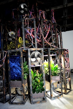 VENEZIA Biennale di Architettura Contemporanea Arsenale. Fotografie di Giulio Azzarello ©2022. VENEZIA Biennale di Architettura Contemporanea Arsenale. Fotografie di Giulio Azzarello ©2022.