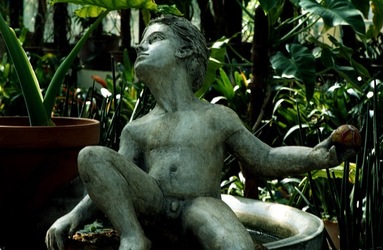 ORTO BOTANICO di Palermo. Fotografie di Giulio Azzarello ©2021.