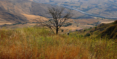 POLIZZI GENEROSA in Sicilia. Fotografie di Giulio Azzarello ©2014. POLIZZI GENEROSA in Sicilia. Fotografie di Giulio Azzarello ©2014.