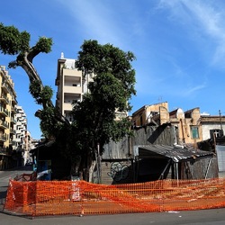 PALERMO. Fotografie di Giulio Azzarello ©2023. PALERMO. Fotografie di Giulio Azzarello ©2023.