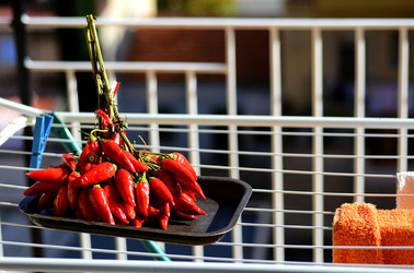 PEPERONCINO fotografie di Giulio Azzarello ©2014. PEPERONCINO fotografie di Giulio Azzarello ©2014.