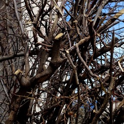 PIANTE. Fotografie di Giulio Azzarello ©2022. PIANTE. Fotografie di Giulio Azzarello ©2022.