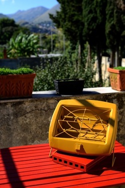 NATURE MORTE DIPINTE fotografie di Giulio Azzarello &copy;2022.