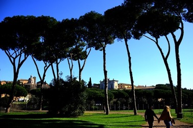 PARCO ARCHEOLOGICO DEL PALATINO Roma. Fotografie di Giulio Azzarello ©2020.
