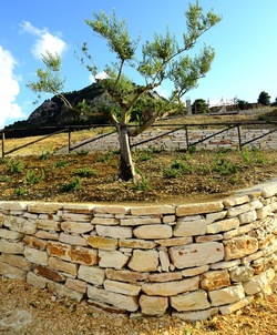 SEGESTA sito archeologico. Fotografie di Giulio Azzarello ©2018.