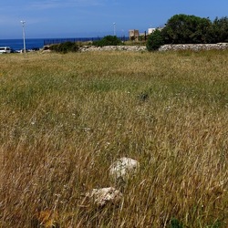 TERRASINI. Fotografie di Giulio Azzarello &copy;2022.