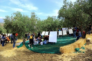 FRANTOIO GULLO ad Aliminusa in Sicilia. Fotografie di Giulio Azzarello &copy;2018.