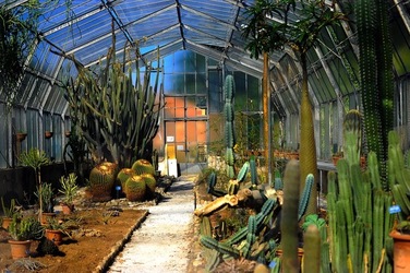 ORTO BOTANICO di Palermo nel maggio 2018. Fotografie di Giulio Azzarello &copy;2018.
