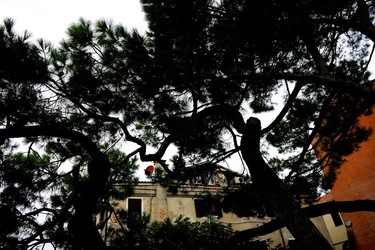 BIENNALE ARTI CONTEMPORANEE DI VENEZIA fotografie di Giulio Azzarello ©2020.