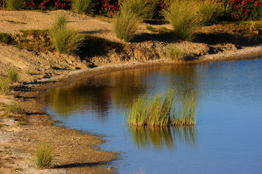 PAESAGGIO SICILIANO nel luogo delle macalube in Sicilia. Fotografie di Giulio Azzarello &copy;2014.