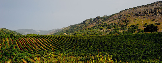 CAMPAGNA SICILIANA. Fotografie di Giulio Azzarello &copy;2016.