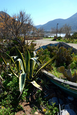 CAPO GALLO riserva marina e naturalistica a Palermo panoramiche e particolari. Fotografie di Giulio Azzarello ©2014. CAPO GALLO riserva marina e naturalistica a Palermo panoramiche e particolari. Fotografie di Giulio Azzarello ©2014.