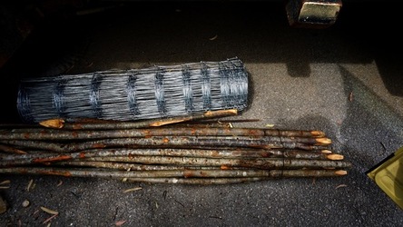 ULIVETO SICILIANO. Fotografie di Giulio Azzarello ©2022.