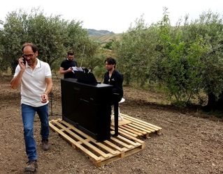 ULIVETO SICILIANO. Fotografie di Giulio Azzarello ©2022.