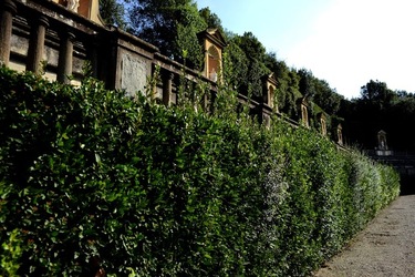 FIRENZE PALAZZO PITTI e GIARDINO DI BOBOLI. Fotografie di Giulio Azzarello &copy;2022.