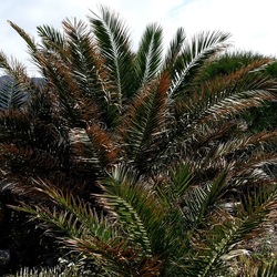 TERRASINI. Fotografie di Giulio Azzarello &copy;2022.