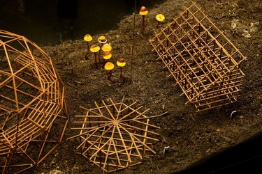 VENEZIA Biennale di Architettura Contemporanea Arsenale. Fotografie di Giulio Azzarello ©2022. VENEZIA Biennale di Architettura Contemporanea Arsenale. Fotografie di Giulio Azzarello ©2022.