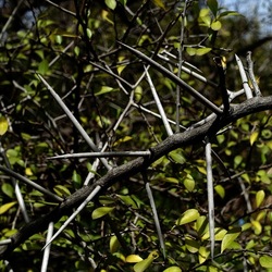 ORTO BOTANICO. Fotografie di Giulio Azzarello &copy;2024.