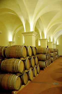 BOTTI per il vino. Fotografie di Giulio Azzarello ©2016. BOTTI per il vino. Fotografie di Giulio Azzarello ©2016.