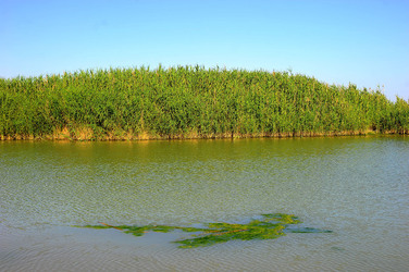 CANNETI in SICILIA. Fotografie di Giulio Azzarello &copy;2016.