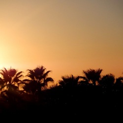 SELINUNTE. Fotografie di Giulio Azzarello ©2022. SELINUNTE. Fotografie di Giulio Azzarello ©2022.