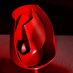 CALICE ROSSO. Fotografia di Giulio Azzarello &copy;2023.