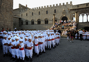 SANTA ROSA a Viterbo. Fotografie di Giulio Azzarello &copy;2014.