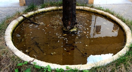 PALAZZO RISO Palermo. Fotografie di Giulio Azzarello ©2020. PALAZZO RISO Palermo. Fotografie di Giulio Azzarello ©2020.