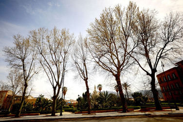 VILLA BONANNO a Palermo. Fotografie di Giulio Azzarello &copy;2016.