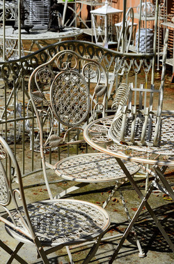 ORTO BOTANICO di Palermo in inverno. Fotografie di Giulio Azzarello &copy;2016.