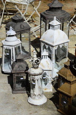 ORTO BOTANICO di Palermo in inverno. Fotografie di Giulio Azzarello &copy;2016.