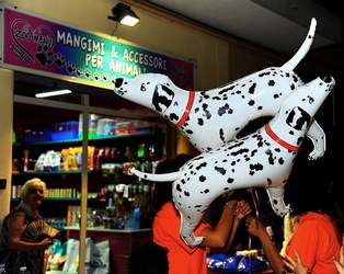 NEGOZIO di ANIMALI. Fotografie di Giulio Azzarello ©2018. NEGOZIO di ANIMALI. Fotografie di Giulio Azzarello ©2018.