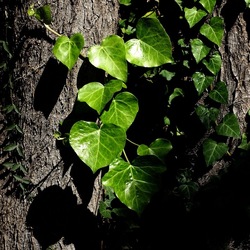 Arabo Normanno. Fotografie di Giulio Azzarello ©2024. Arabo Normanno. Fotografie di Giulio Azzarello ©2024.