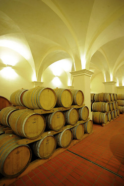 BOTTI per il vino. Fotografie di Giulio Azzarello ©2016. BOTTI per il vino. Fotografie di Giulio Azzarello ©2016.