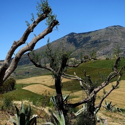 SEGESTA. Fotografie di Giulio Azzarello ©2024. SEGESTA. Fotografie di Giulio Azzarello ©2024.