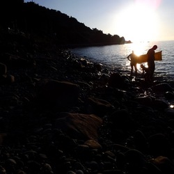 CAMPEGGIO fotografie di Giulio Azzarello ©2019. CAMPEGGIO fotografie di Giulio Azzarello ©2019.