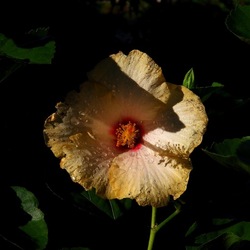 AUTUNNO fotografie di Giulio Azzarello ©2021. AUTUNNO fotografie di Giulio Azzarello ©2021.