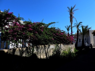 ISOLA di STROMBOLI fotografie di Giulio Azzarello &copy;2020.